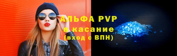 a pvp Бородино