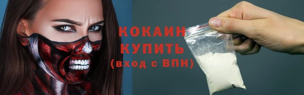 a pvp Бородино