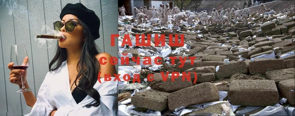 a pvp Бородино