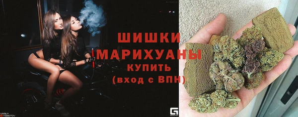 a pvp Бородино