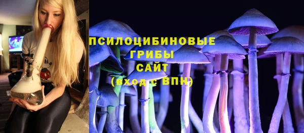 тгк Болотное