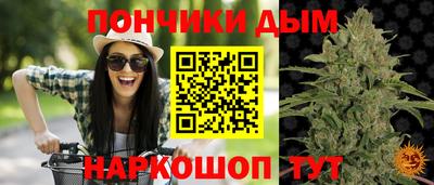 спиды Заводоуковск
