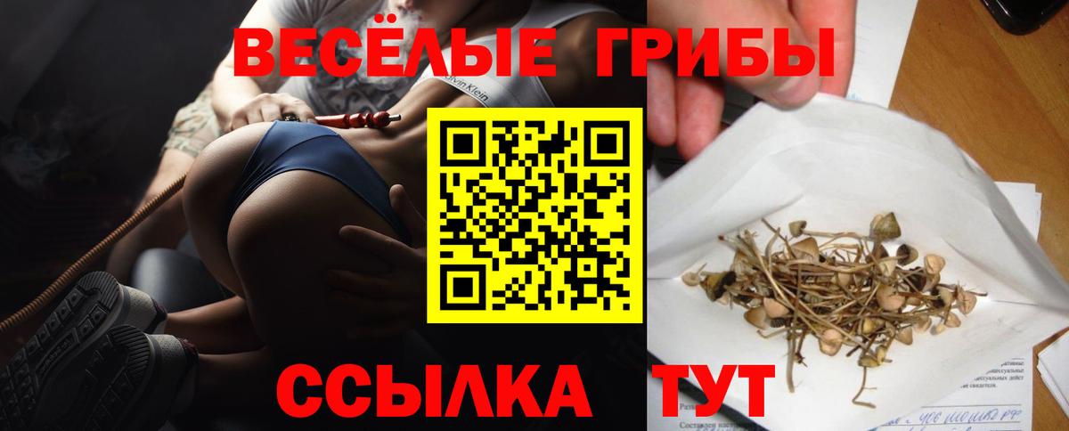 Горячий Ключ  Псилоцибиновые грибы Psilocybine cubensis  Вход с VPN 